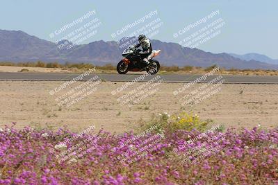 media/Mar-12-2023-SoCal Trackdays (Sun) [[d4c8249724]]/Turn 15 Inside Bloom (130pm)/